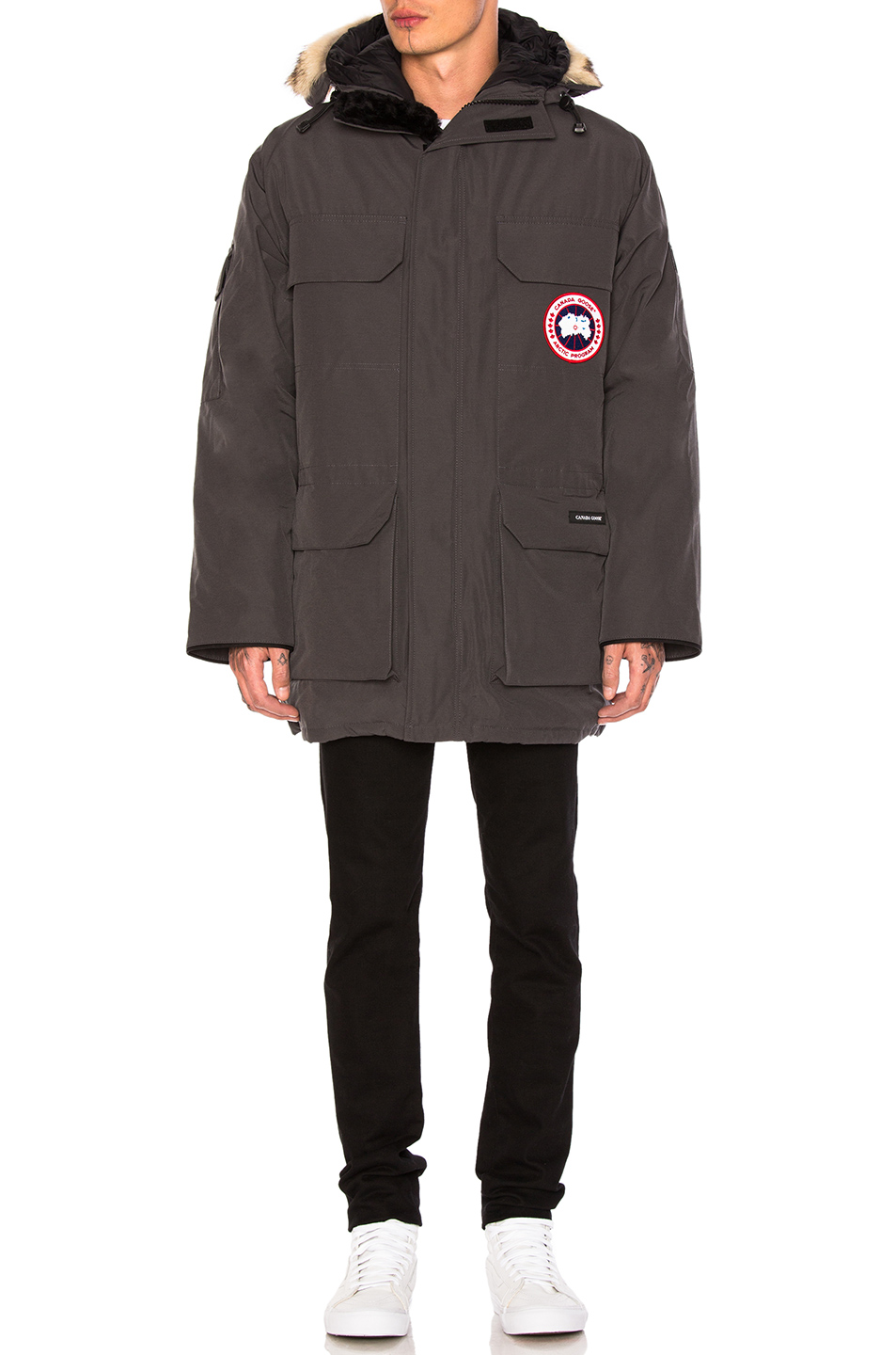 canada goose